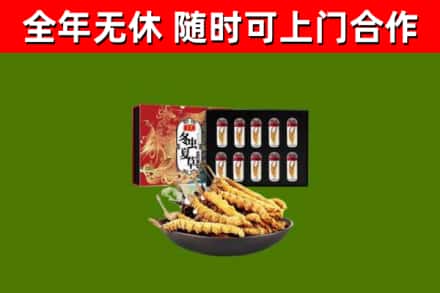 回民区烟酒回收冬虫夏草礼盒.jpg